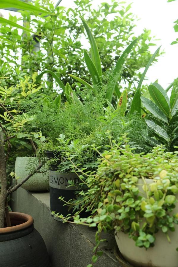 Auntie Lien'S Homestay Hanoi Exterior photo